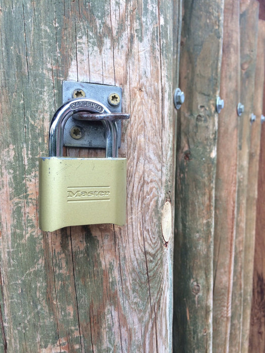 Master Lock 176 Resettable Combination Brass Padlock, Supervisory Key Override 2in (51mm) Wide