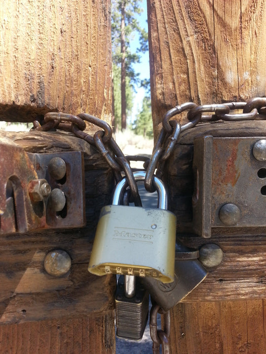Master Lock 176 Resettable Combination Brass Padlock, Supervisory Key Override 2in (51mm) Wide